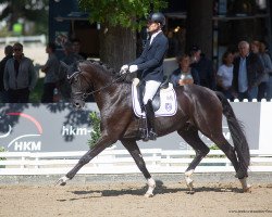 dressage horse Fifty Shades of Grey 7 (Hanoverian, 2017, from For Romance I)