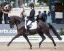 dressage horse High Fashion OLD (Oldenburg, 2017, from Helium)