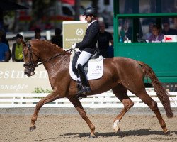 dressage horse Fleur d'Amour T (Oldenburg, 2017, from Asgard's Ibiza)