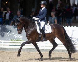 dressage horse Fürst Friedericus W (Oldenburg, 2017, from Fürsten-Look)