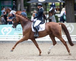 dressage horse I'm Gio Deluxe (Oldenburger, 2017, from Asgard's Ibiza)