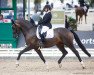 dressage horse Impatto (Hanoverian, 2017, from Asgard's Ibiza)