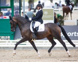 dressage horse Impatto (Hanoverian, 2017, from Asgard's Ibiza)