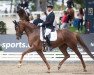 dressage horse Ischia L (Hanoverian, 2017, from Asgard's Ibiza)