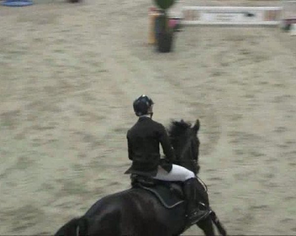 broodmare Solitaire (Rhinelander, 2001, from Sandro Hit)