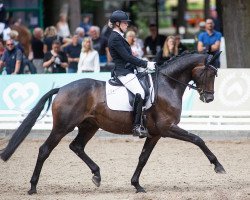 dressage horse Monairy Dream CS (Deutsches Sportpferd, 2017, from Morricone)