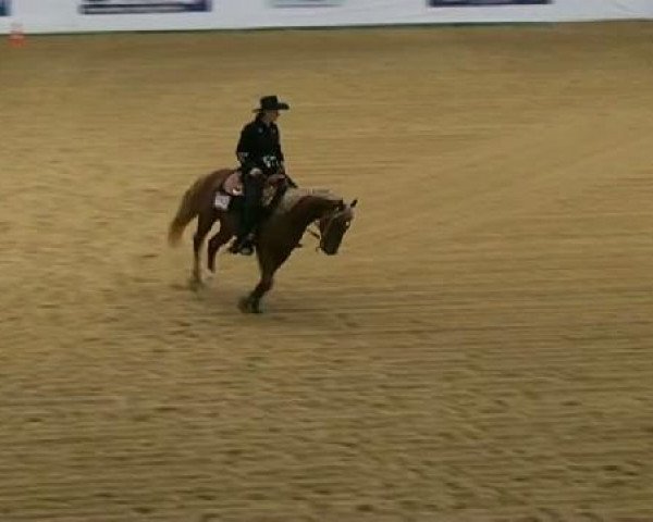 horse Red's Haida Smoke (Quarter Horse, 2007, from Reds Gonna Rein)