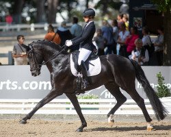 dressage horse Nymphenburgs Famous Boy (Hanoverian, 2017, from For Romance II)