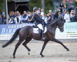 dressage horse Bonany Von Der Mittelerde (Oldenburg, 2017, from Bon Coeur)