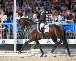 dressage horse Rocketeer (Westfale, 2018, from Rock Forever NRW)