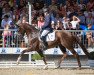 dressage horse Don Valegro 2 (Rhinelander, 2018, from Don Martillo)