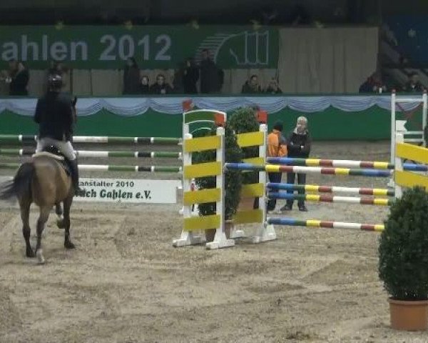 Springpferd Loretto 167 (Westfale, 1998, von Lord Caletto)
