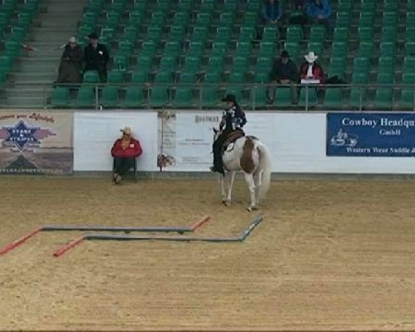 horse Lucky's Candy Diamond (Paint Horse, 2005, from Whata Luck)