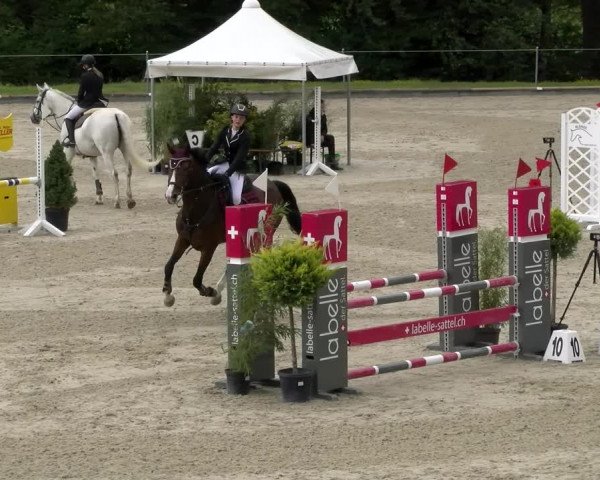 Reitturnier Maienfeld 2022