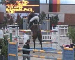 jumper Ronya 29 (Westphalian, 2000, from Royale W)