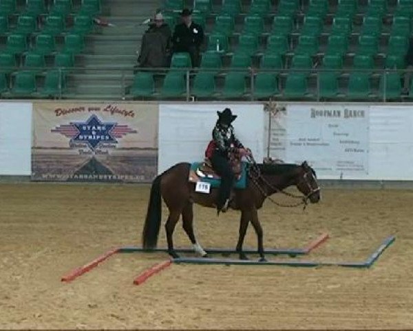 Pferd AD Mr. Big Nic (Quarter Horse, 2006, von Remnics Diamond)