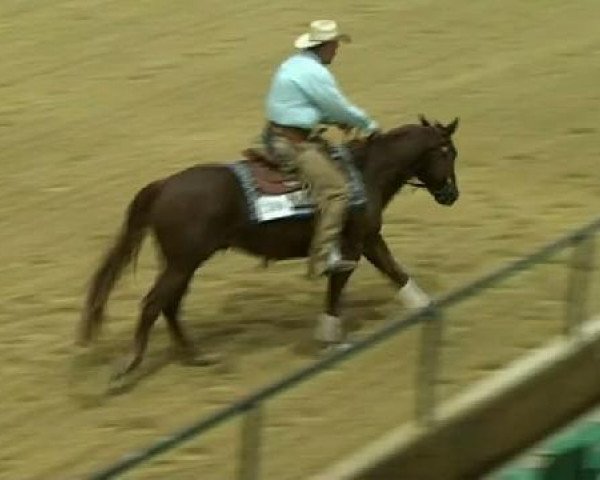 Pferd Bucky's Little Red (Quarter Horse, 2007, von Reds Gonna Rein)