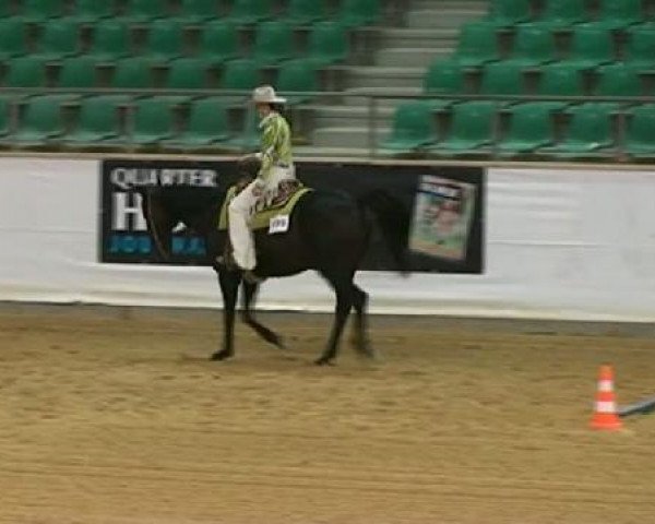 horse Sally Hit (Thoroughbred, 1991, from Mister Rock's xx)