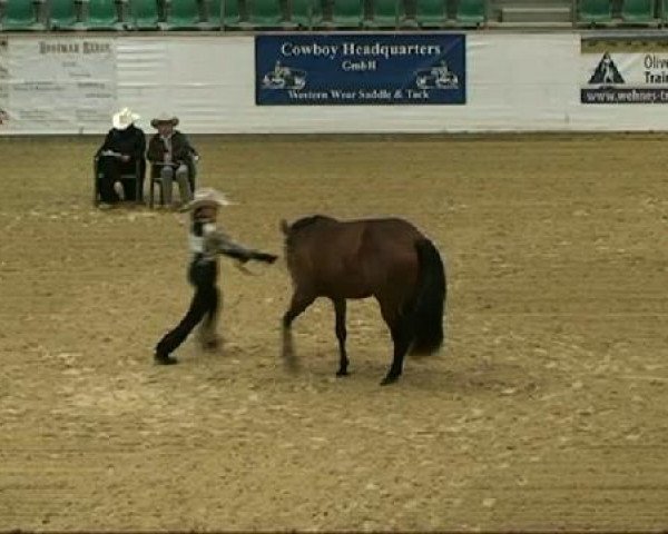 Pferd Dashing Jeanny (Quarter Horse, 2001, von On Par Zippo)