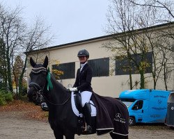 dressage horse Dantes Bella Luna (Oldenburg, 2015, from Dante Weltino Old)