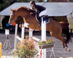 broodmare Lady de luxe 7 (Oldenburg, 2003, from Lovis Corinth)