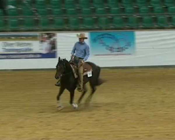 Pferd Jade Red Bar (Quarter Horse, 2006, von Wonder San Breeze)