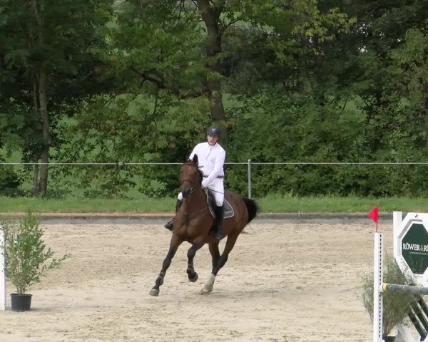 Reitturnier Maienfeld 2022