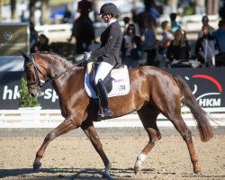 dressage horse Quantastica PS (Oldenburg, 2016, from Quantensprung 3)