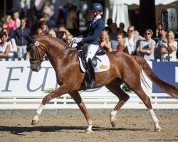 broodmare Boa Vista FRH (Hanoverian, 2016, from Bon Coeur)