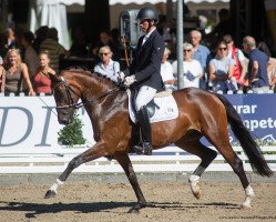 dressage horse Bon Bijou 8 (Hanoverian, 2016, from Bon Coeur)