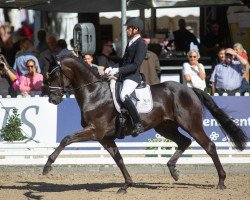 dressage horse Mdm Fuerstenerbe (Oldenburg, 2016, from Fürsten-Look)