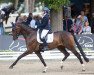 dressage horse Dancing Dietmar (Hanoverian, 2016, from Dancier)