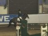 jumper Tamara 309 (KWPN (Royal Dutch Sporthorse), 2000, from Kennedy)