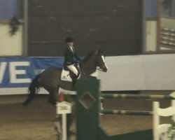 Springpferd Tamara 309 (KWPN (Niederländisches Warmblut), 2000, von Kennedy)