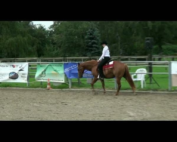 horse TL Smart Skater (Quarter Horse, 2007, from Lightnin' Chick Olena)