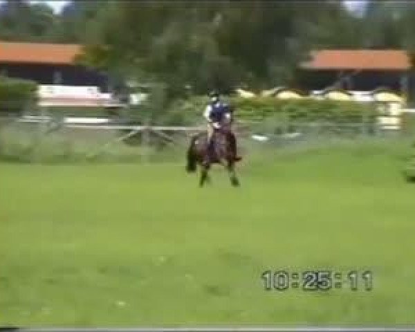broodmare Dunia Littleton (German Riding Pony, 1991, from Durello)