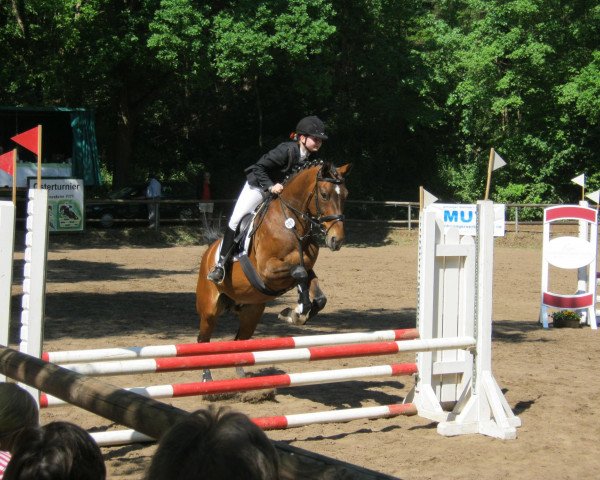 Pferd Valsija (Ungarisches Warmblut, 1993, von Vanders)