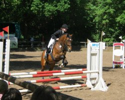 horse Valsija (Hungarian Warmblood, 1993, from Vanders)