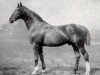 Pferd Alderman I (Hannoveraner, 1909, von Alnok)