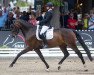 Dressurpferd Emh Rock'n Rose FBW (Deutsches Sportpferd, 2016, von Rock my Soul)