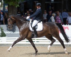 dressage horse Estefan 4 (Rhinelander, 2016, from Escolar)