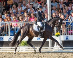 stallion Estupendo 3 (Hanoverian, 2019, from Escamillo)