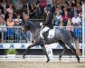 dressage horse La Bonheur B (Hanoverian, 2019, from La Vie)