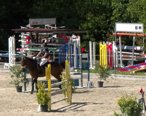 Reitturnier Maienfeld 2022