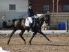 dressage horse Hennessy R (Hanoverian, 2002, from Heraldik xx)