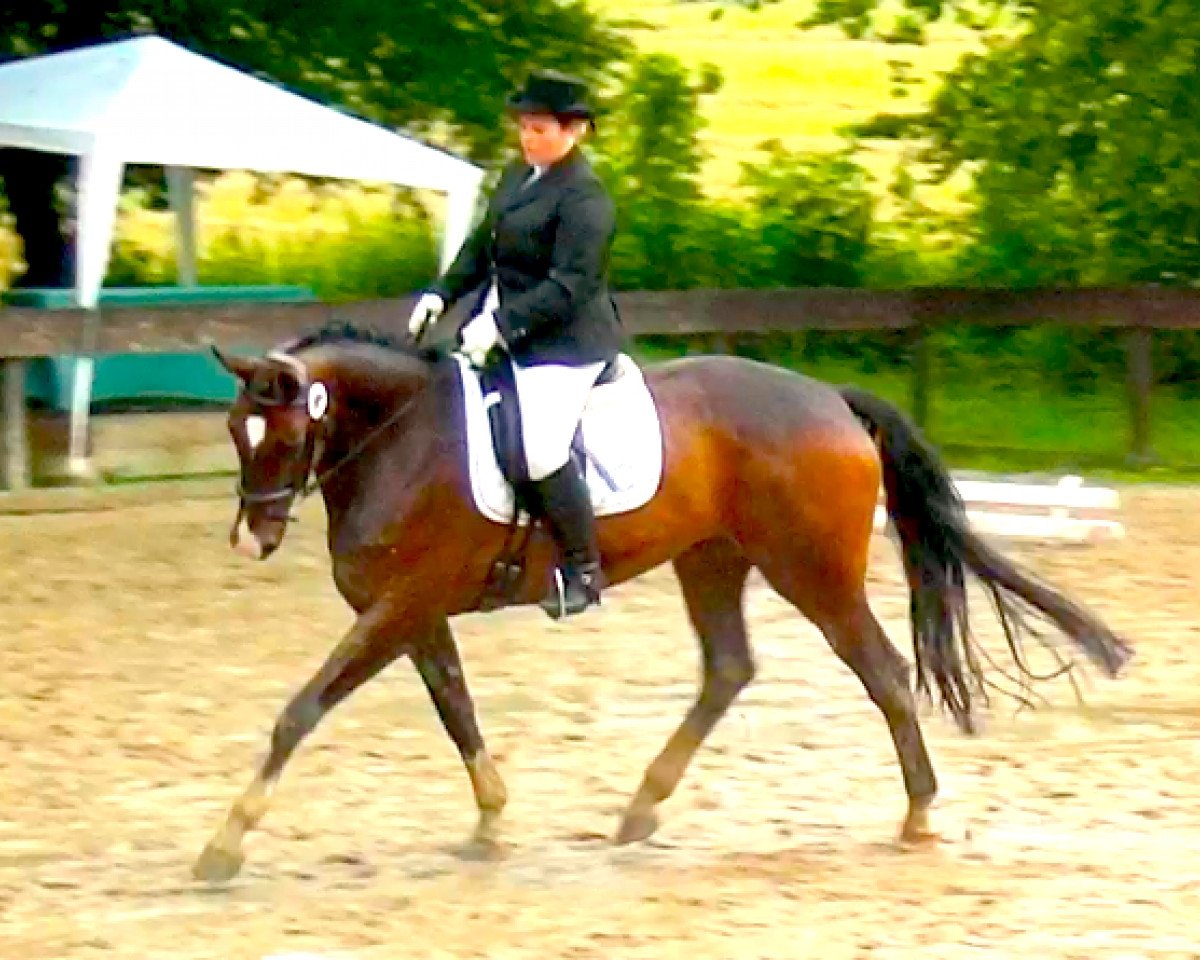 broodmare Roani Malu (Hanoverian, 2006, from Rascalino)