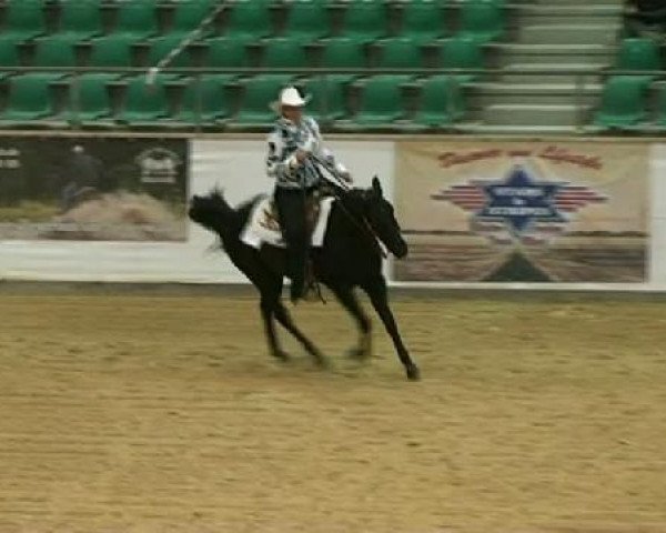 Pferd Bay like Chocolate (Quarter Horse, 2003, von Po Bayoto Doc)