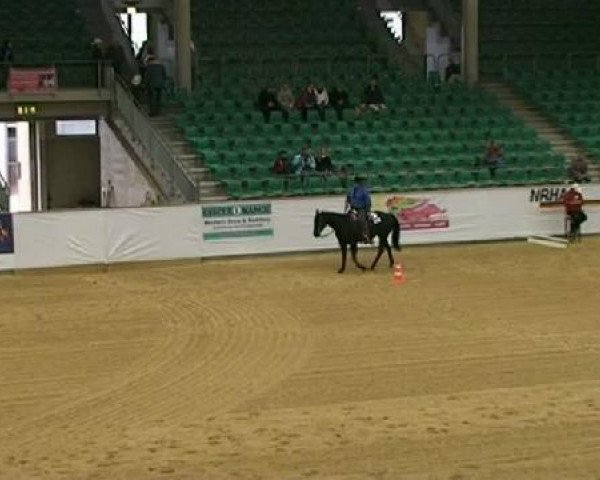 Pferd Tabano's Peponita (Quarter Horse, 1999, von Tabanos Hunk)