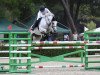 Springpferd Mistral vd Kakebeek (Belgisches Warmblut, 2012, von Zilverstar T)