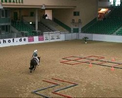 horse Isaron's Bolereo (German Riding Pony,  , from Bourbon)